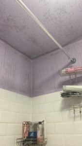 whatsapp bild 2024 11 29 kl. 01.44.18 f19671bb