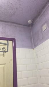 whatsapp bild 2024 11 29 kl. 01.44.18 f2c6a39f kopia