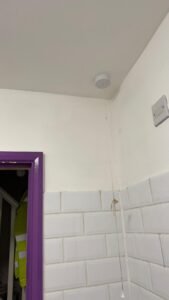 whatsapp bild 2024 11 29 kl. 01.44.44 b6fab16d kopia