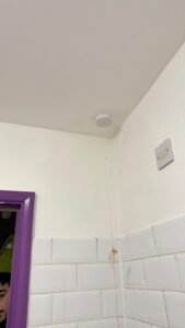 whatsapp bild 2024 11 29 kl. 01.44.44 c9b26e4e