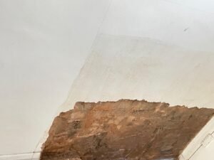 whatsapp image 2026 01 19 at 12.46.51 am